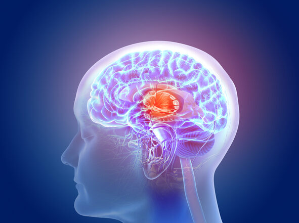 Studying Aging in a New Way